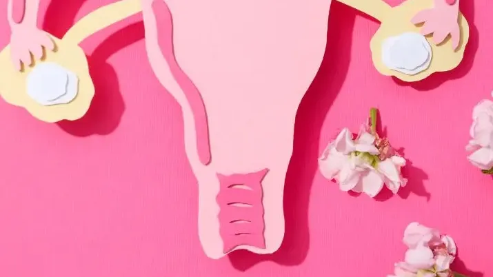 Consultation de Naturopathie pour l’endométriose